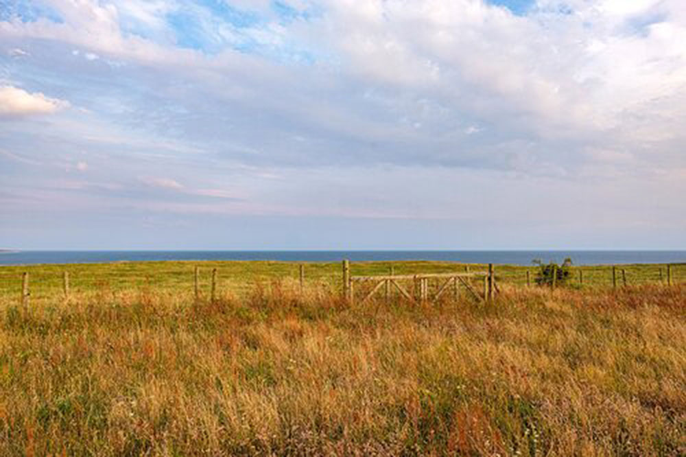 meadow-4481824_19201